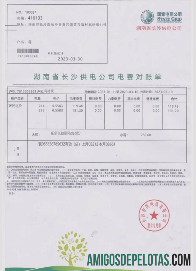 Projeto de lei de serviços públicos da rede elétrica estatal da China em formato PSD exemplo real